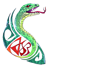 ASR - Logo, die grüne Mamba